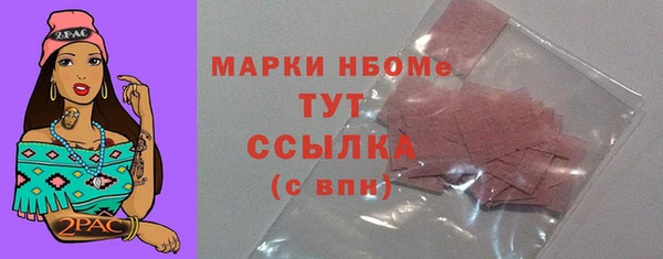 прущий лед Алзамай
