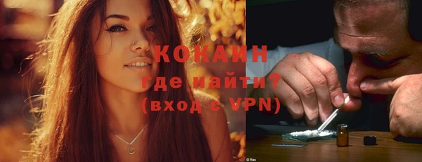 прущий лед Алзамай