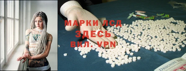 прущий лед Алзамай