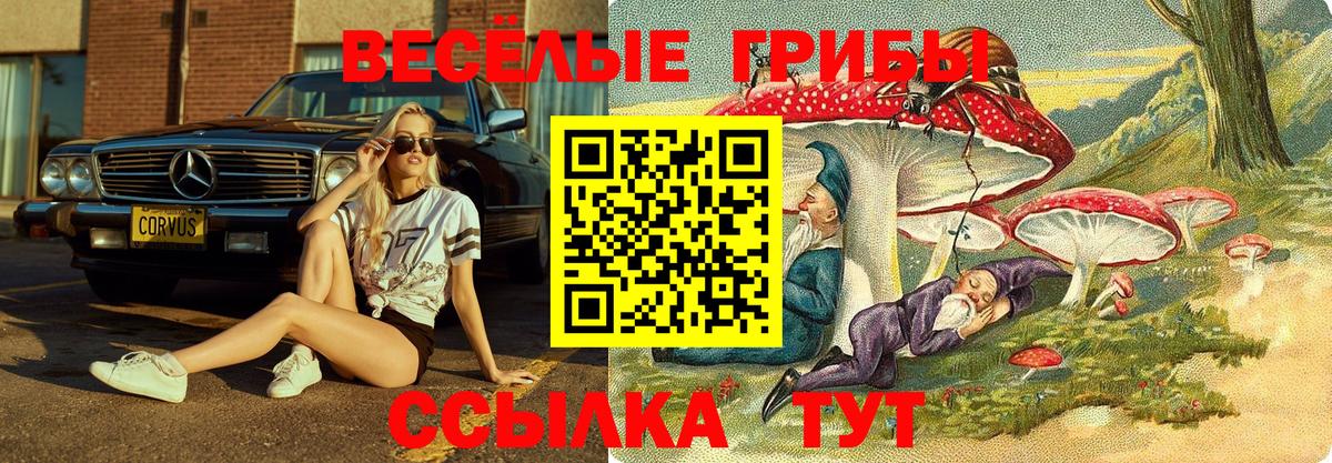 Псилоцибиновые грибы Psilocybine cubensis Назрань