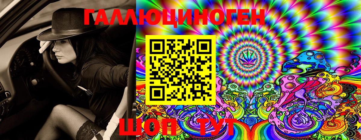 Назрань  где купить   Вход с VPN  Псилоцибиновые грибы Psilocybe 